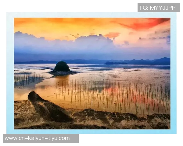 天空与太阳的交响曲探讨光影交织下的自然之美与生命的意义